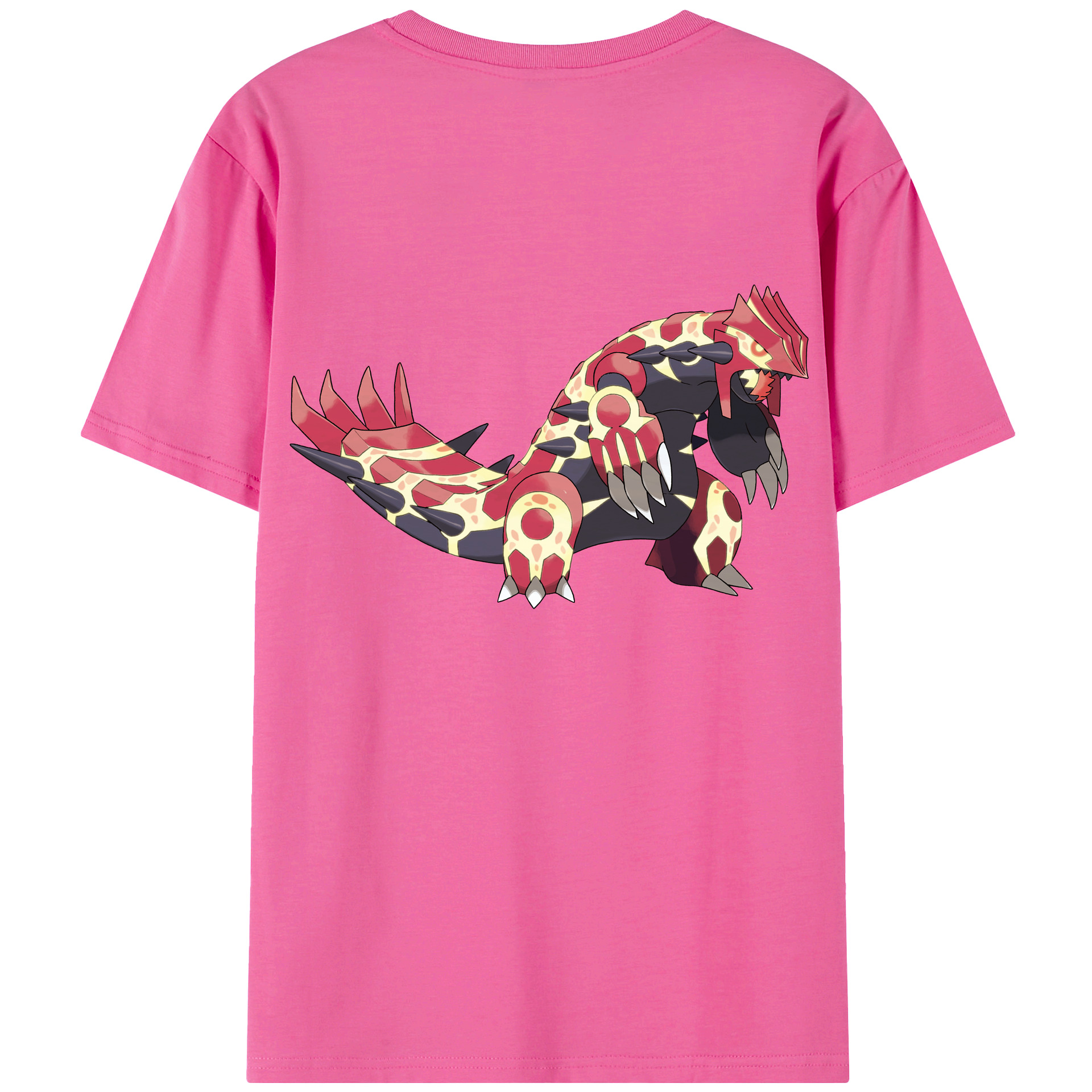 （画像用） ポケットモンスター Pokémon レディース半袖Tシャツ(バックプリント)